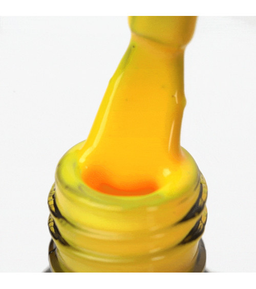 Hibridinis gelinis lakas OCHO Rainbow R01