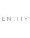Entity